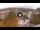 Webcam in Baden-Baden, 3.5 mi away