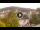 Webcam in Baden-Baden, 31.2 km