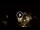 Webcam in Baden-Baden, 12.5 mi away