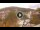 Webcam in Baden-Baden, 8.8 mi away
