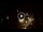 Webcam in Baden-Baden, 0.1 mi away