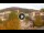 Webcam in Baden-Baden, 10.9 mi away
