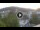 Webcam in Baden-Baden, 22.2 km
