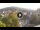 Webcam in Baden-Baden, 12.1 mi away