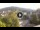 Webcam in Baden-Baden, 30.5 km entfernt