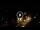 Webcam in Baden-Baden, 12.1 mi away