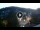 Webcam in Baden-Baden, 11.7 mi away