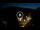 Webcam in Baden-Baden, 9.9 mi away