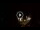 Webcam in Baden-Baden, 11.7 mi away