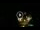 Webcam in Baden-Baden, 8.5 mi away