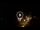 Webcam in Baden-Baden, 7.1 mi away