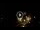 Webcam in Baden-Baden, 12.1 mi away