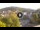 Webcam in Baden-Baden, 15.7 km