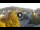 Webcam in Baden-Baden, 30.8 km