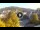 Webcam in Baden-Baden, 33 km
