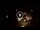 Webcam in Baden-Baden, 12.8 mi away