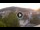 Webcam in Baden-Baden, 12.5 mi away