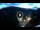 Webcam in Baden-Baden, 7.1 mi away