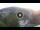 Webcam in Baden-Baden, 11.2 km