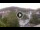 Webcam in Baden-Baden, 8.5 mi away