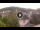 Webcam in Baden-Baden, 9.9 mi away