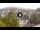 Webcam in Baden-Baden, 18.6 km