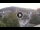 Webcam in Baden-Baden, 7.1 mi away