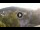 Webcam in Baden-Baden, 6.9 mi away