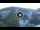 Webcam in Baden-Baden, 9.2 km