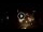 Webcam in Baden-Baden, 5.8 mi away