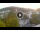Webcam in Baden-Baden, 29.3 km