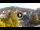Webcam in Baden-Baden, 18.6 km