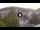 Webcam in Baden-Baden, 17.4 km