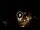Webcam in Baden-Baden, 5.5 mi away