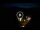 Webcam in Baden-Baden, 9.6 mi away