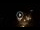 Webcam in Baden-Baden, 8.5 mi away