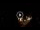 Webcam in Baden-Baden, 8.8 mi away