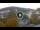 Webcam in Baden-Baden, 9.8 mi away