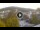 Webcam in Baden-Baden, 4.3 mi away