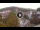 Webcam in Baden-Baden, 8.8 mi away