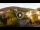 Webcam in Baden-Baden, 18 mi away