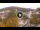 Webcam in Baden-Baden, 18.6 km