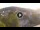 Webcam in Baden-Baden, 12.1 mi away