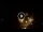Webcam in Baden-Baden, 8.5 mi away