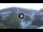 Webcam in Baden-Baden, 9.2 km