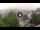 Webcam in Baden-Baden, 12.1 mi away
