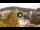 Webcam in Baden-Baden, 14.4 km
