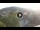 Webcam in Baden-Baden, 11.7 mi away