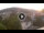 Webcam in Baden-Baden, 8.6 mi away