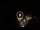 Webcam in Baden-Baden, 11.4 mi away